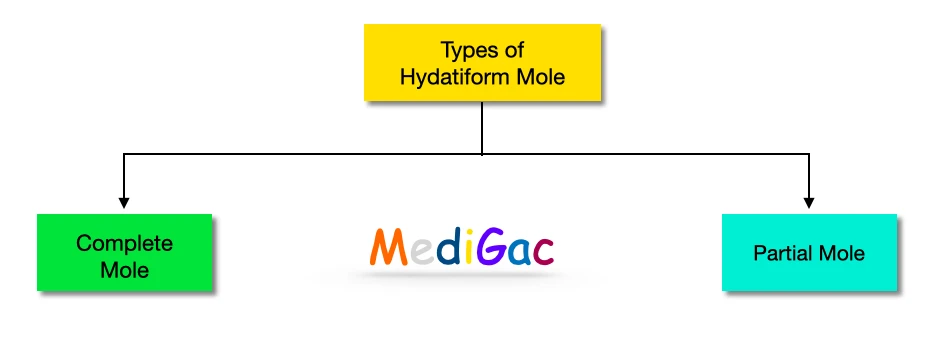Hydatiform mole types